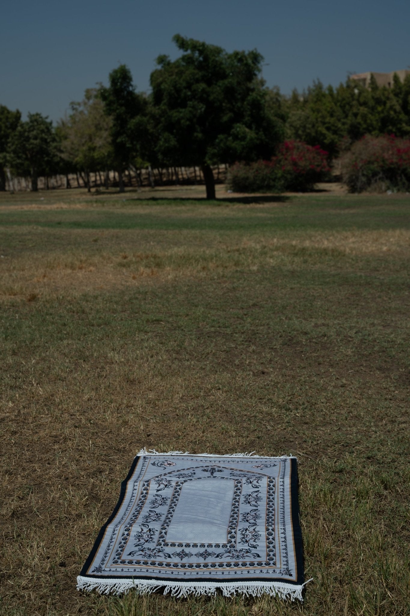 Blue Soul - Lillyscarfofficial