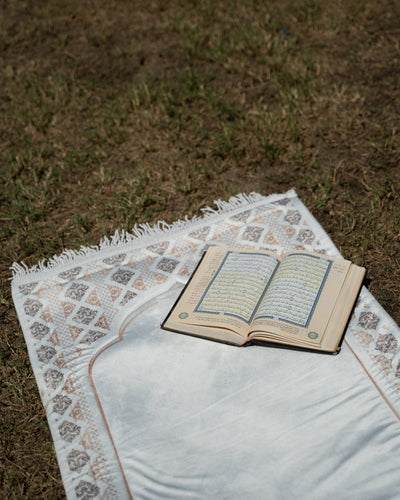 Neutral - Lillyscarfofficial